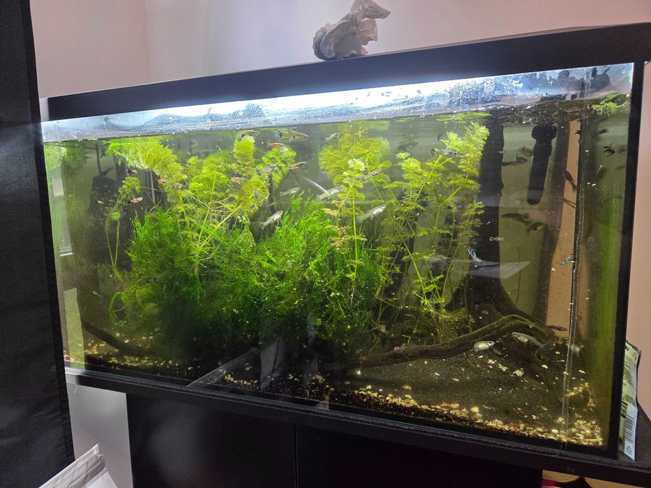 Аквариум AquaEl + Оборудване
