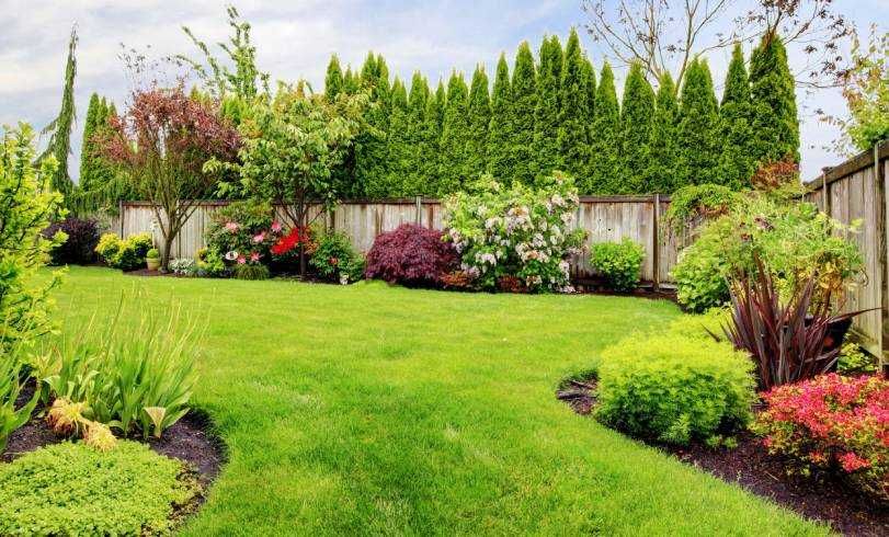 Озеленяване,косене,подрязване и подръжка на дворове!