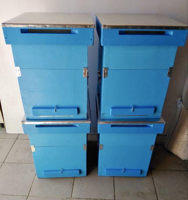 5 Stupi albine pe 10 rame, complet echipati grosime lemn la cuib 22mm