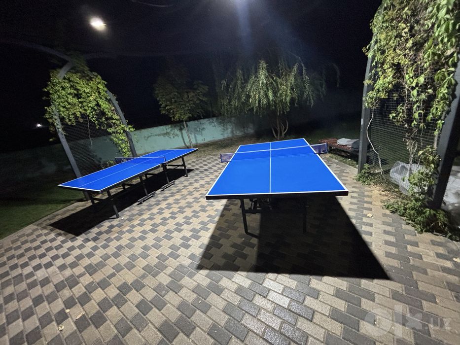 Настольный теннис Ping Pong