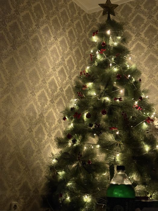 Ёлка сатылады ёлка