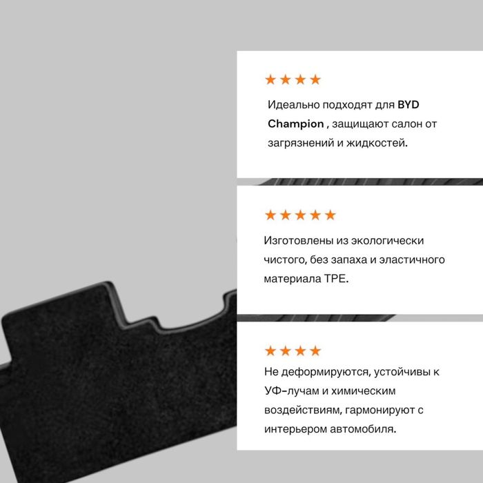 Резиновый двухслойный салон полик для BYD Champion от «LuxwayShop»