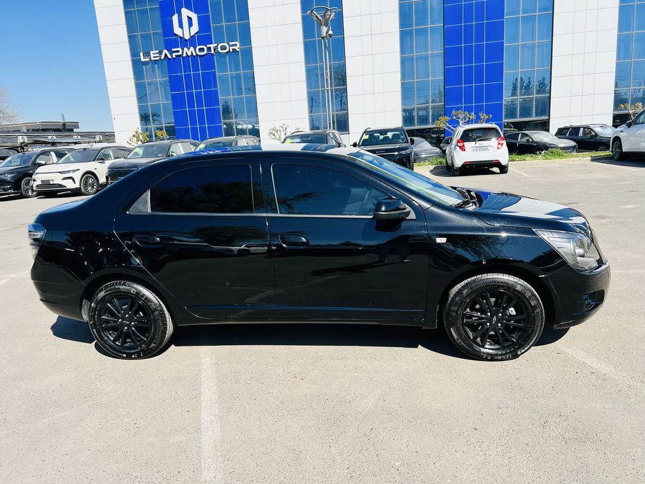 Cobalt 2025 Midnight