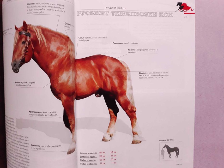 Списание "Езда 365"