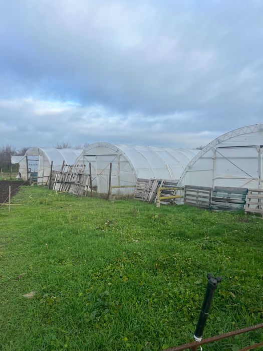 Полиетиленови оранжерии