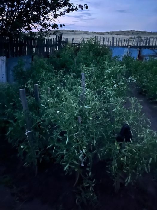 Продам дачу на Уралочке