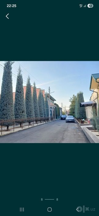 Archa kesish dorilash xizmati