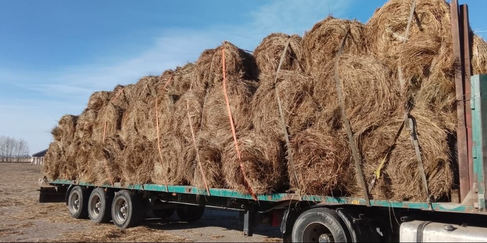 Продам сено Разнотравье