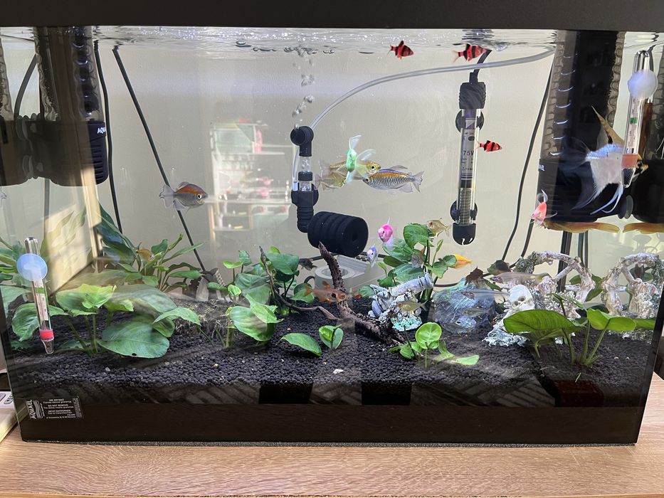 Аквариум aquael 72л