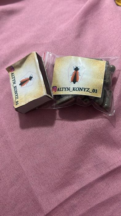 Екі орыс қызы еріксіз жалап