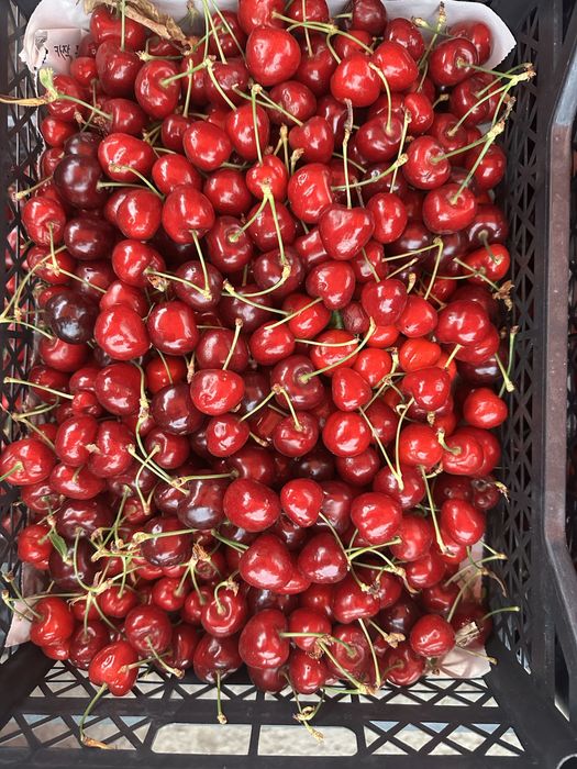 Свежая черешня с доставкой по городу для