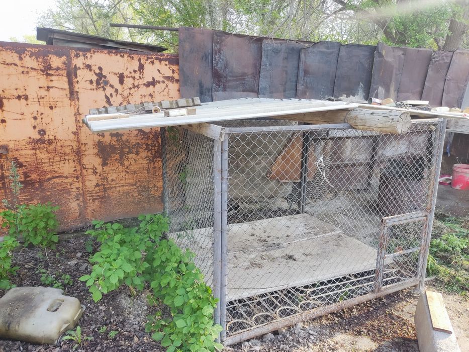 Вольер для собаки