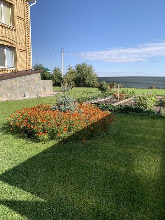 Домдомдом район теплиц