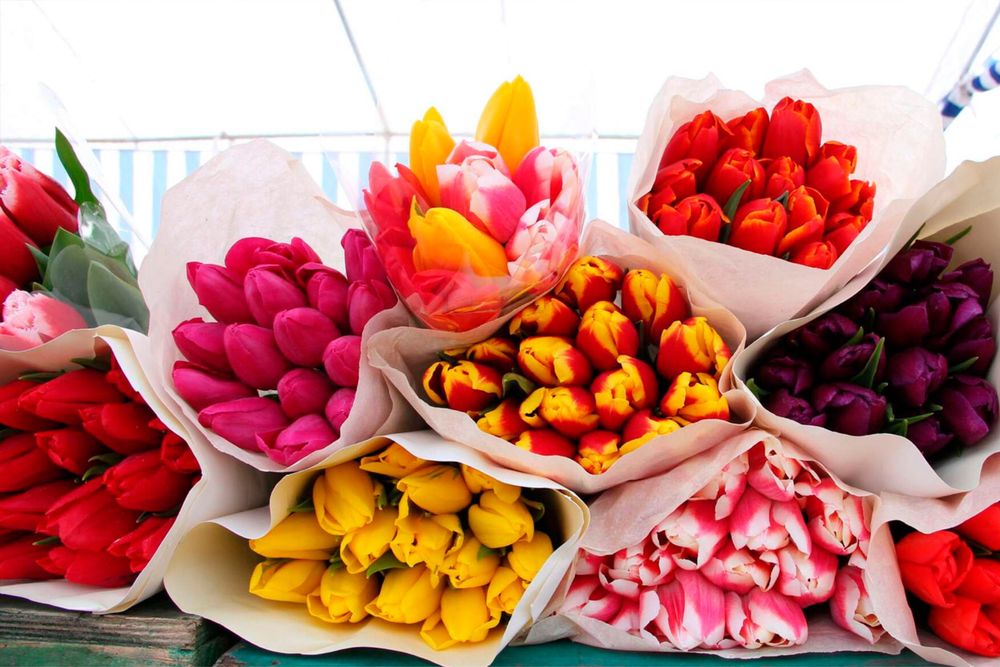 Тюльпаны на 8 марта/ цветы