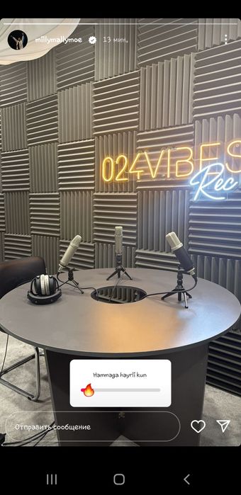 Шумка. Акустика. Акусический поролон