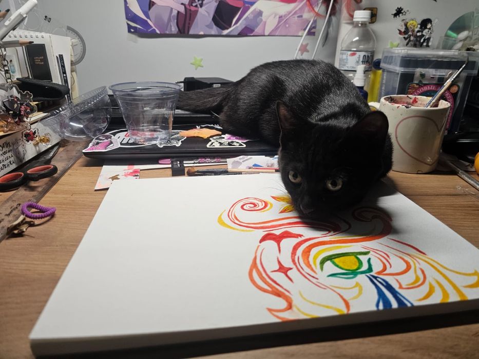 Котенок в хорошие руки