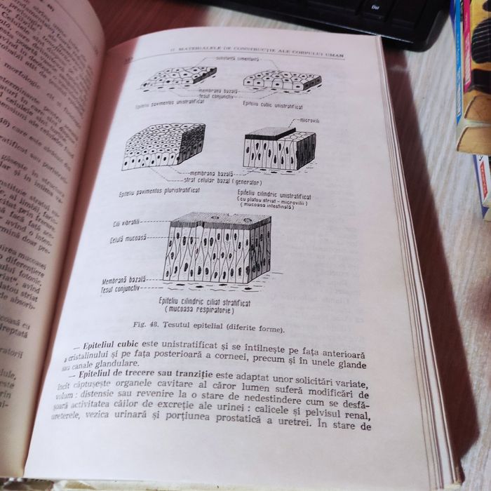 Cărți licență medicina kinetoterapie