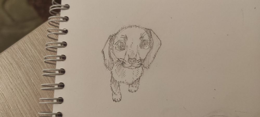 Рисую животных!!