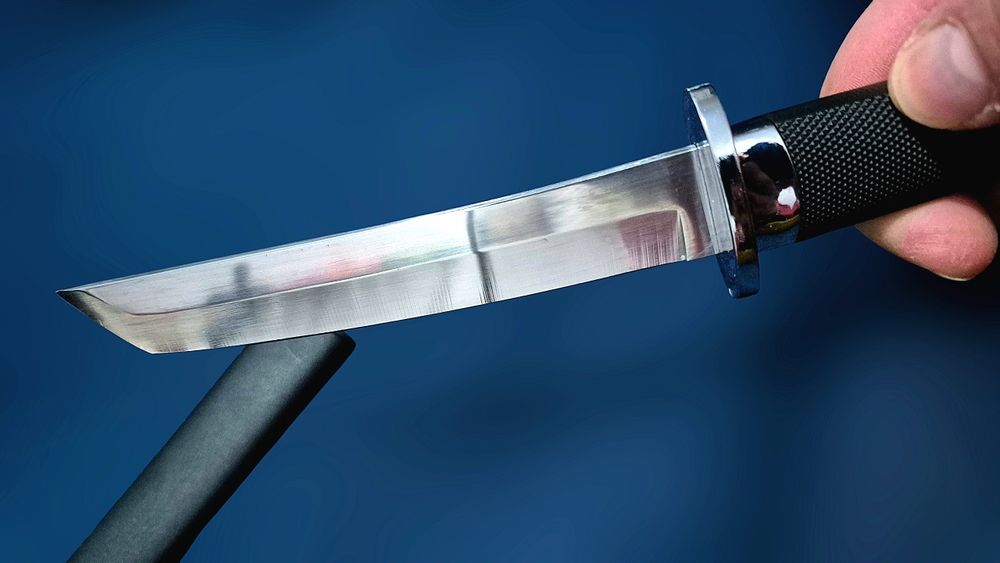 Висококачествен Самурайски кухненски нож, за плодове, месо, зеленчуци