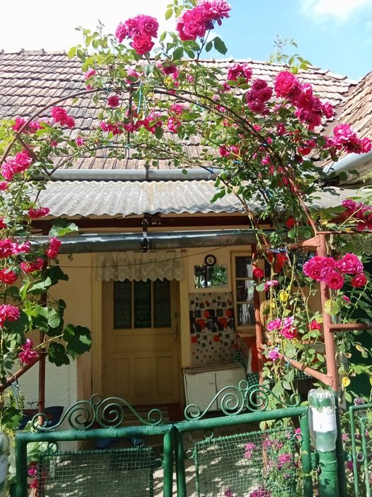 Casa de vanzare 1500mp teren-65.000€ Usor negociabil CERGHID-MURES