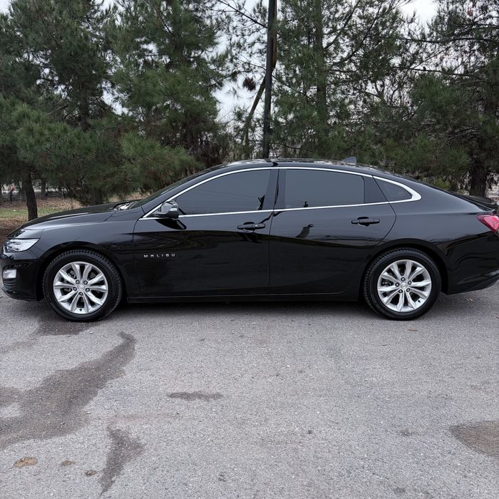 Malibu 2 Premier /2022