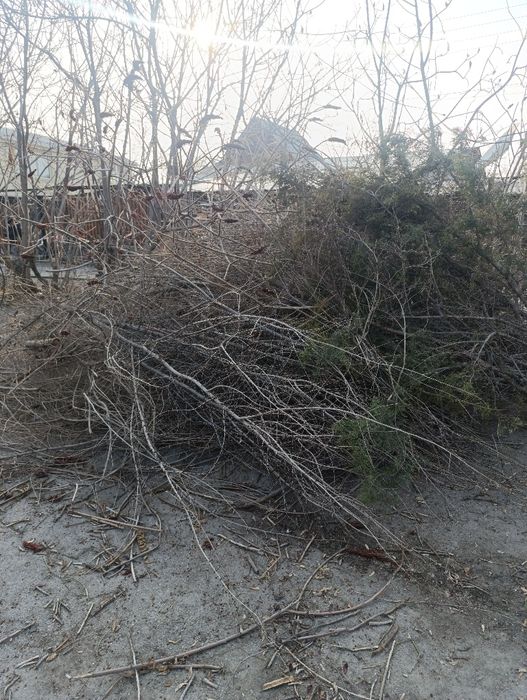 Отдаются бесплатно самовывоз