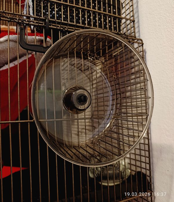 Vând accesorii noi pentru hamsteri