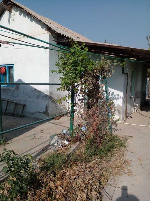 Продаю дачу,два участка по 6 соток,дом хоз постройки,плодовые деревья.