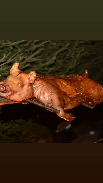 Proțap la jar ,Mâncare cu gust ,Rotisor evenimente