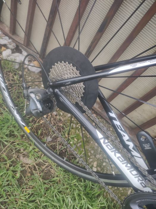 Cursiera carbon ultegra nakamura century team(M-55cm)
