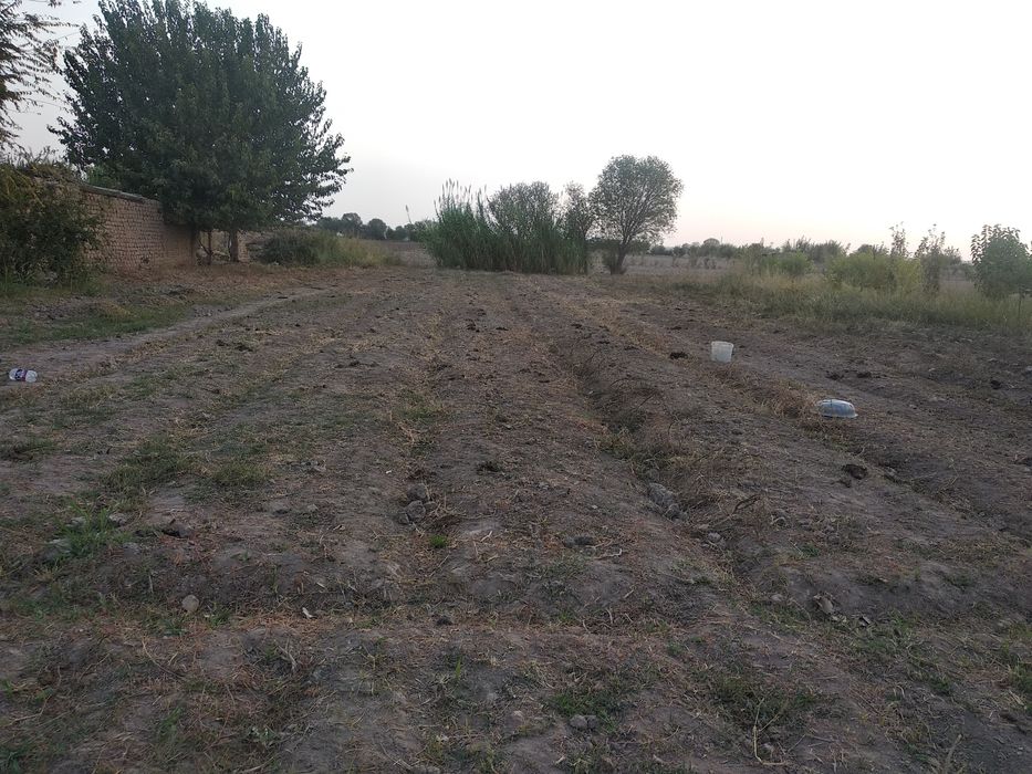 10sutix yer sotiladi