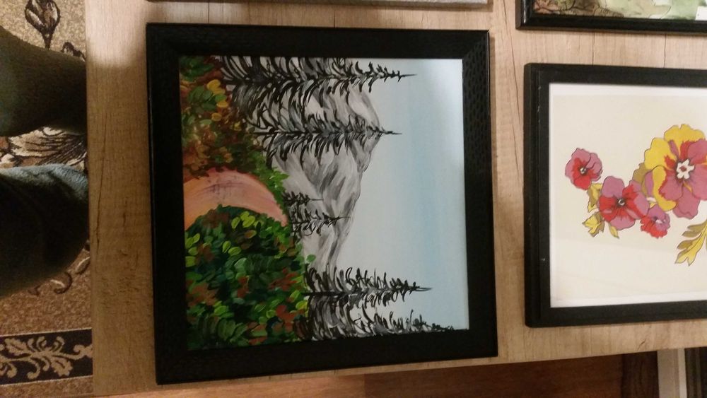 Картини в хубави рамки, само по 9 Евро за 1 картина. Без забележки!