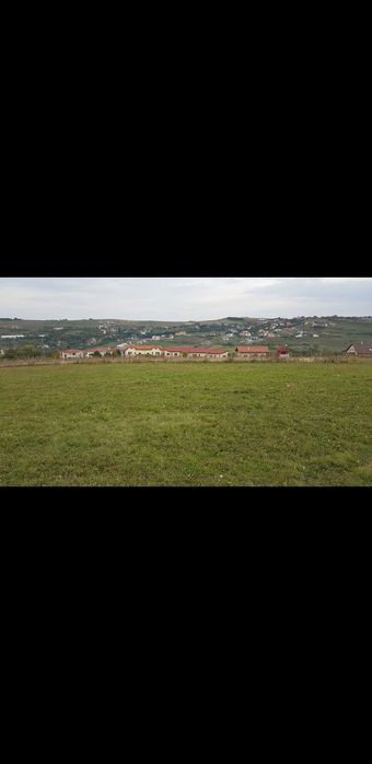 Vand teren intravilan Borhanci Cluj-Napoca 5682Mp 850 Eur/Mp