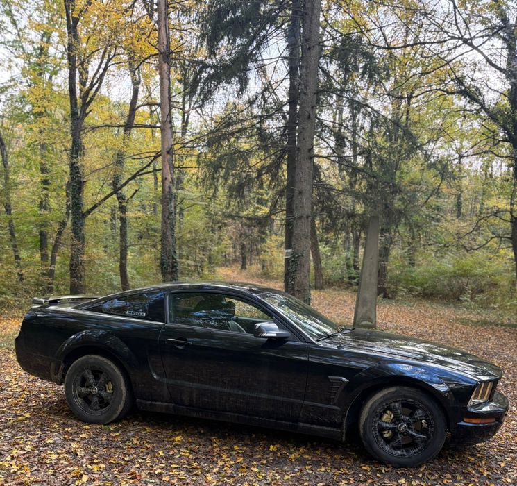Форт Мустанк 4.0  V6