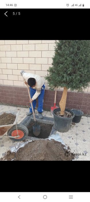 Шөп ору жер аудару тал егу