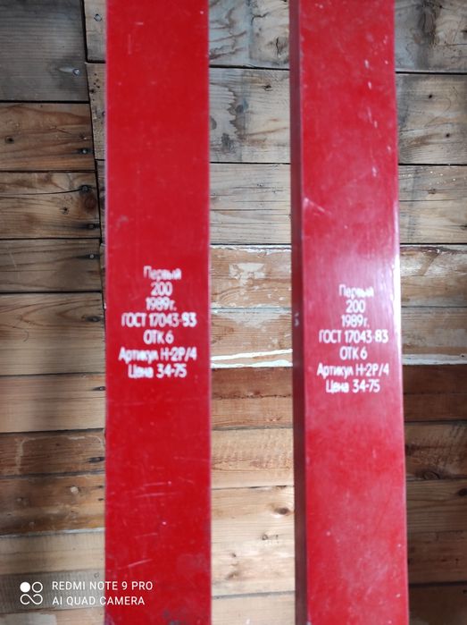 Лыжи пластиковые и крепления.