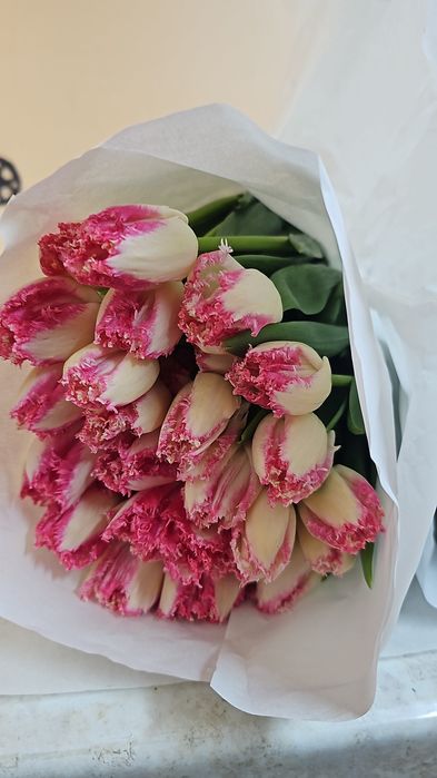 Голландские Тюльпаны к Наурызу!