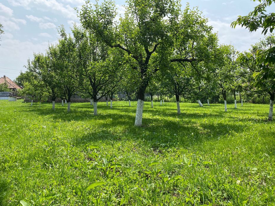 Teren de vânzare în Aiton