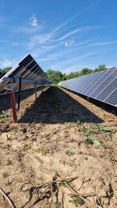 Продава се Парцел в с. Иново, Област Видин - 12000 кв.м за 113 €/кв.м - Снимка #4