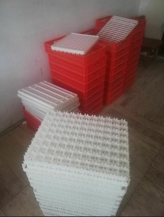 инкубатор inkubator