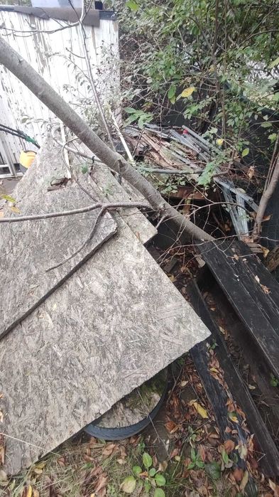 covoare vechi si nefolositoare  , electrocasnice , cartoane