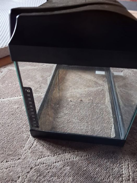 Acvariu Pesti  40 Litri