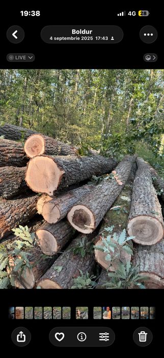 Lemn de foc gros fara farfuri