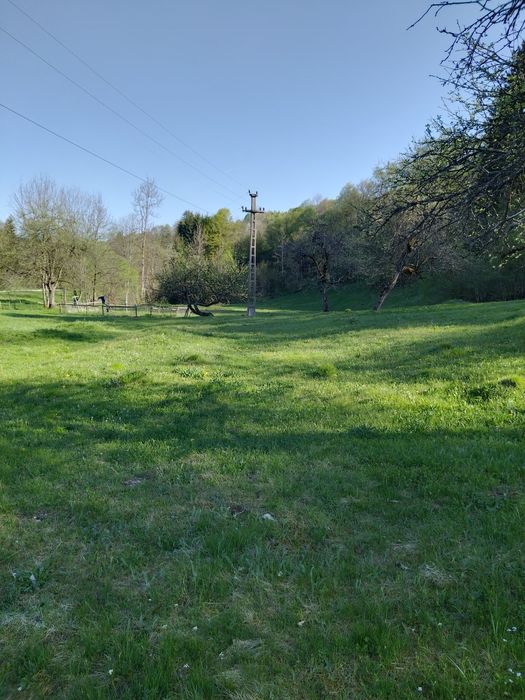 Teren de vanzare Av Iancu