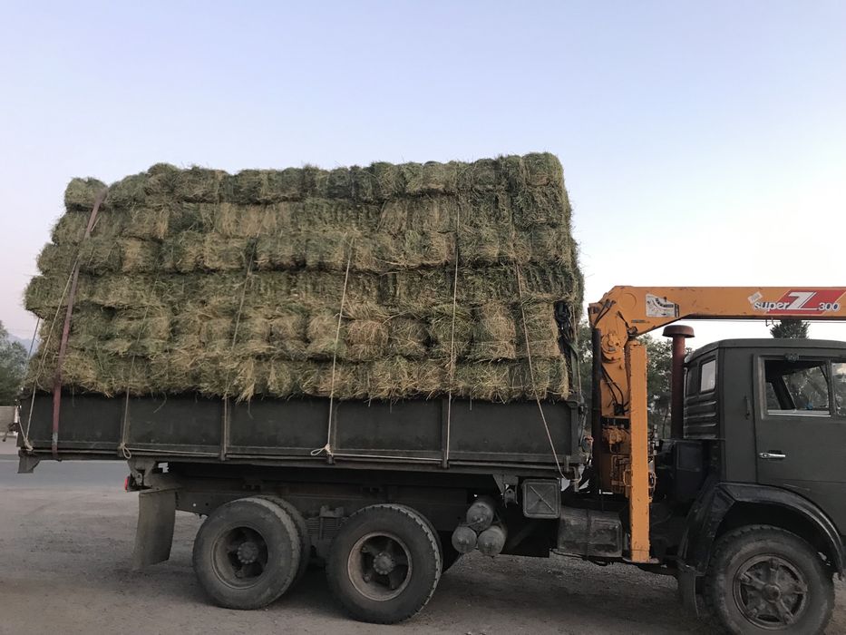 Манипулятор услуги доставка8