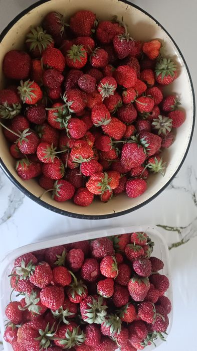 Продам  клубники