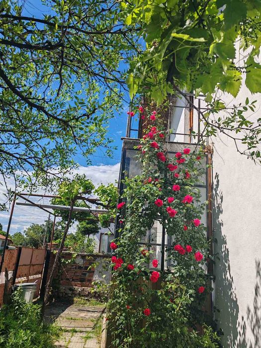 Продава се Къща в с. Черна гора, Област Стара Загора - 160 кв.м за 97 €/кв.м - Снимка #19