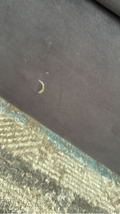 Продается диван3/1