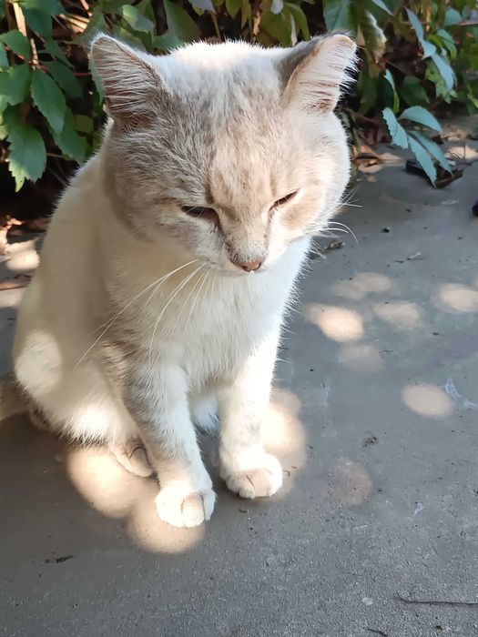 !!!СПАС ЖИЗНЬ Кто то…