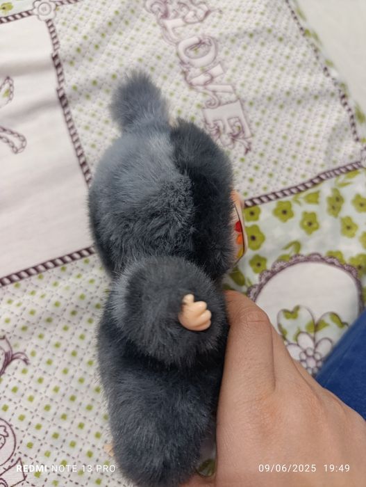 Секретная лабуба